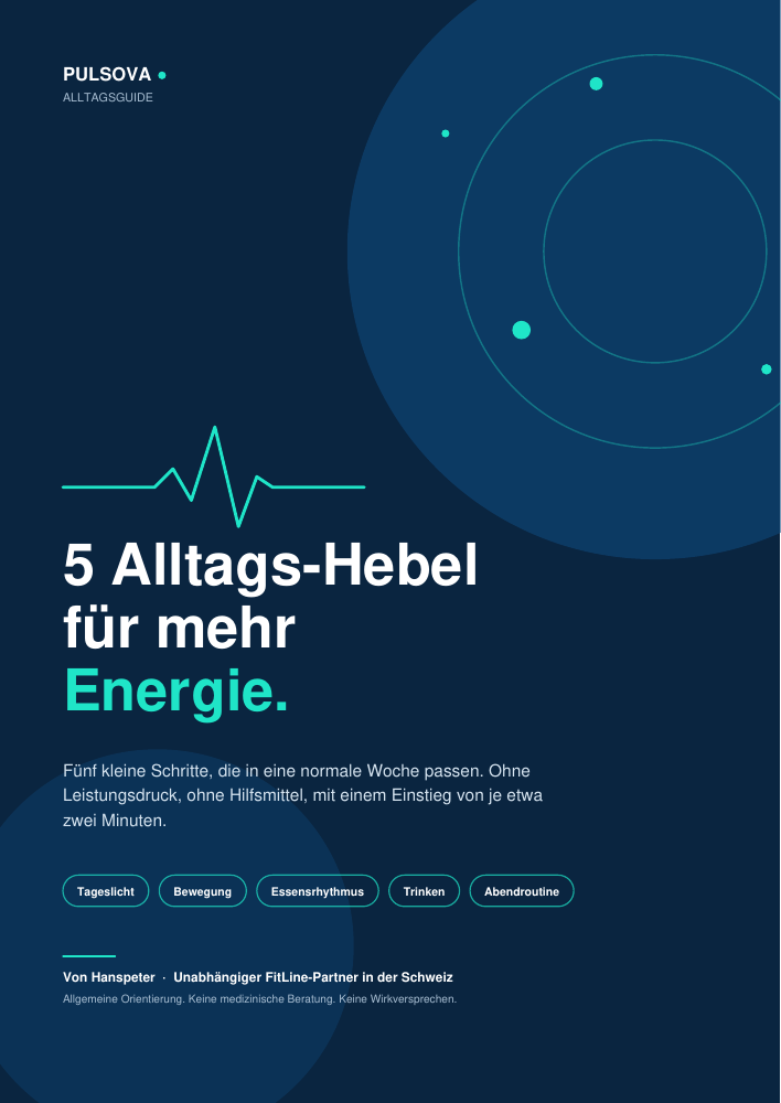 Vorderseite des Pulsova-Alltagsguides mit den fünf Themen Tageslicht, Bewegung, Essensrhythmus, Trinken und Abendroutine